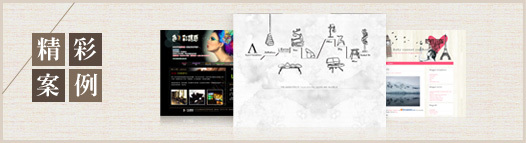 精彩案例