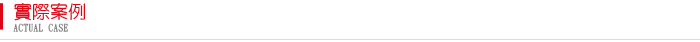 實際案例
